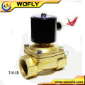 220 volt micro solenoid valve for irrigation